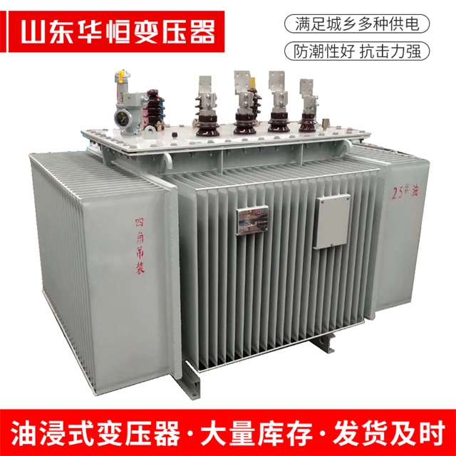 S13-10000/35新洲新洲新洲电力变压器厂家