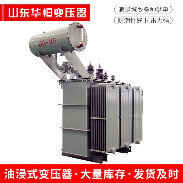 S11-10000/35新洲新洲新洲电力变压器厂家