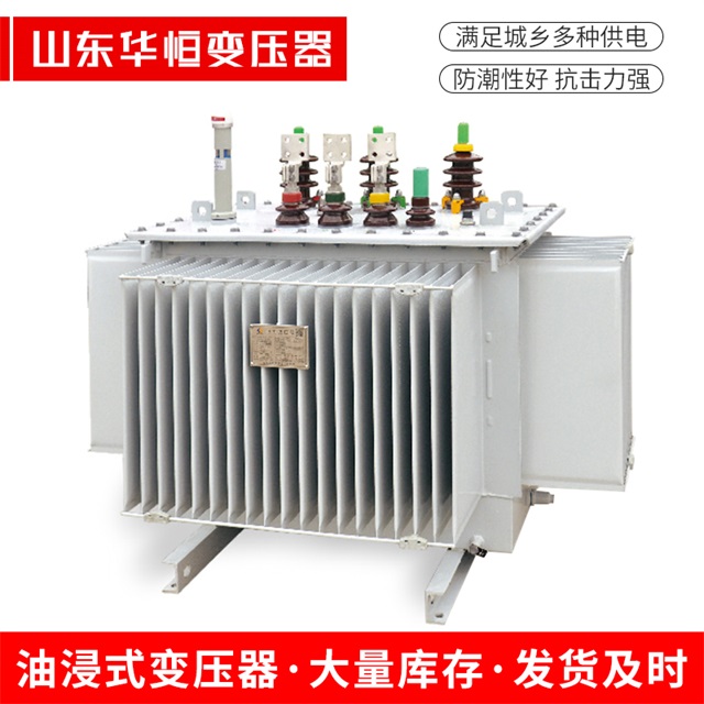 S13-10000/35新洲新洲新洲电力变压器