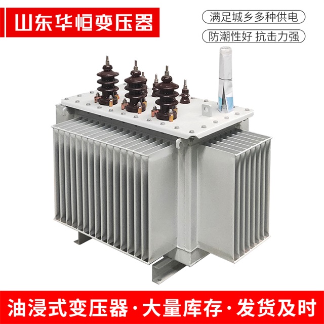 S11-10000/35新洲新洲新洲电力变压器价格
